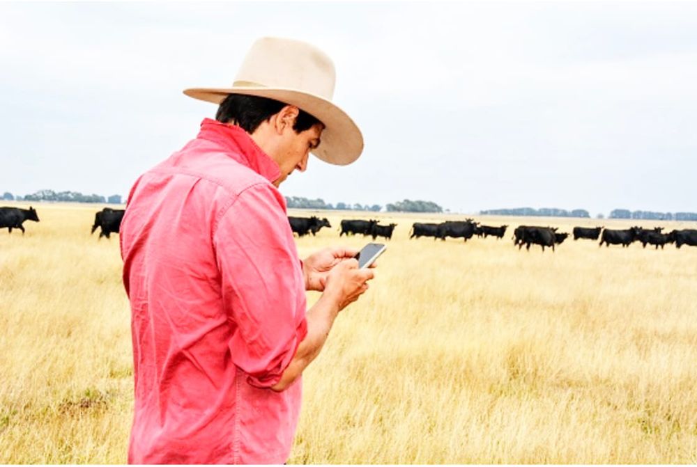 Express Finance Course Targets Young Farmers post image