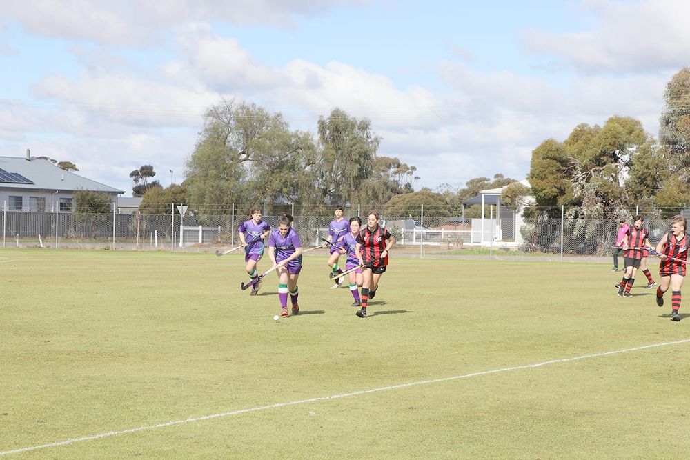 North-Central Hockey post image