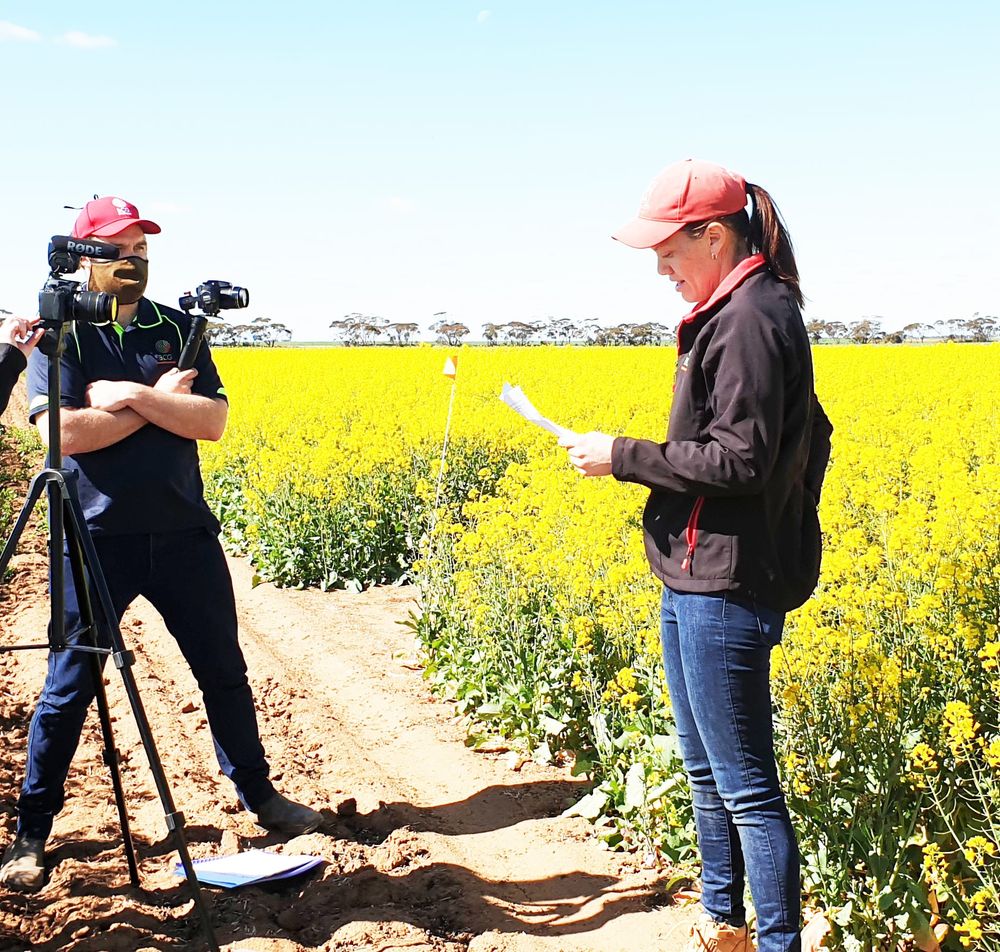 BCG Main Field Day Information Goes Digital post image
