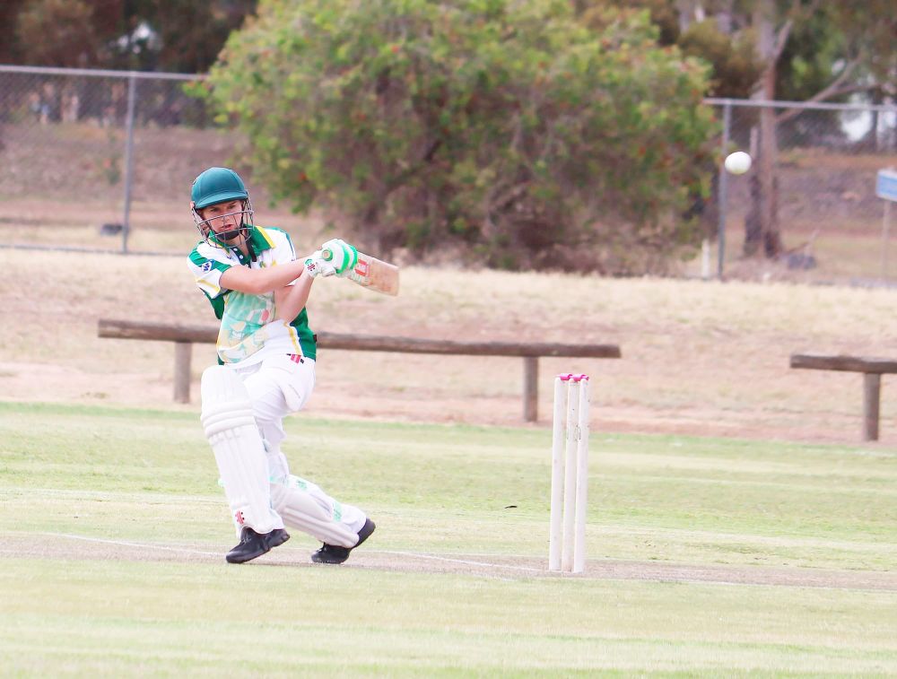 Girls Take to the Cricket Crease post image