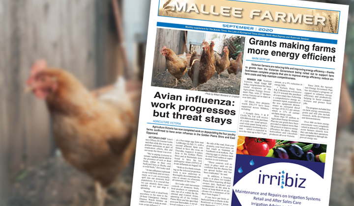 SEPTEMBER - Friday, September 11, 2020 post image