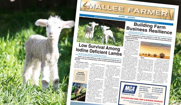 JUNE - Friday, June 12, 2020 post image