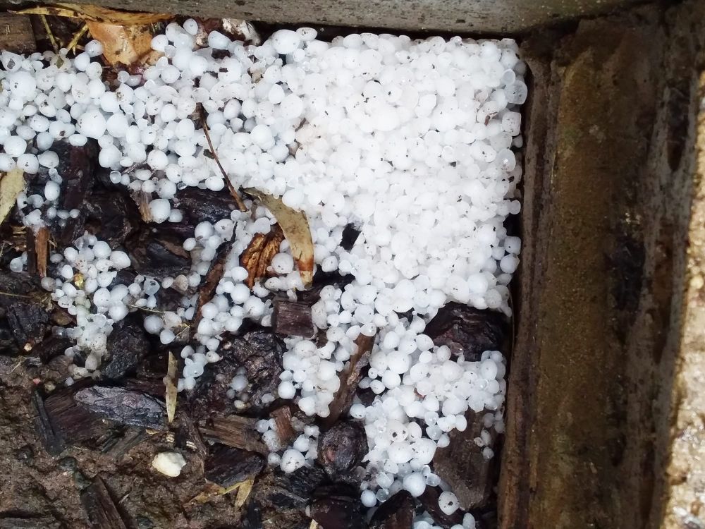 Rain, Hail, Shine post image