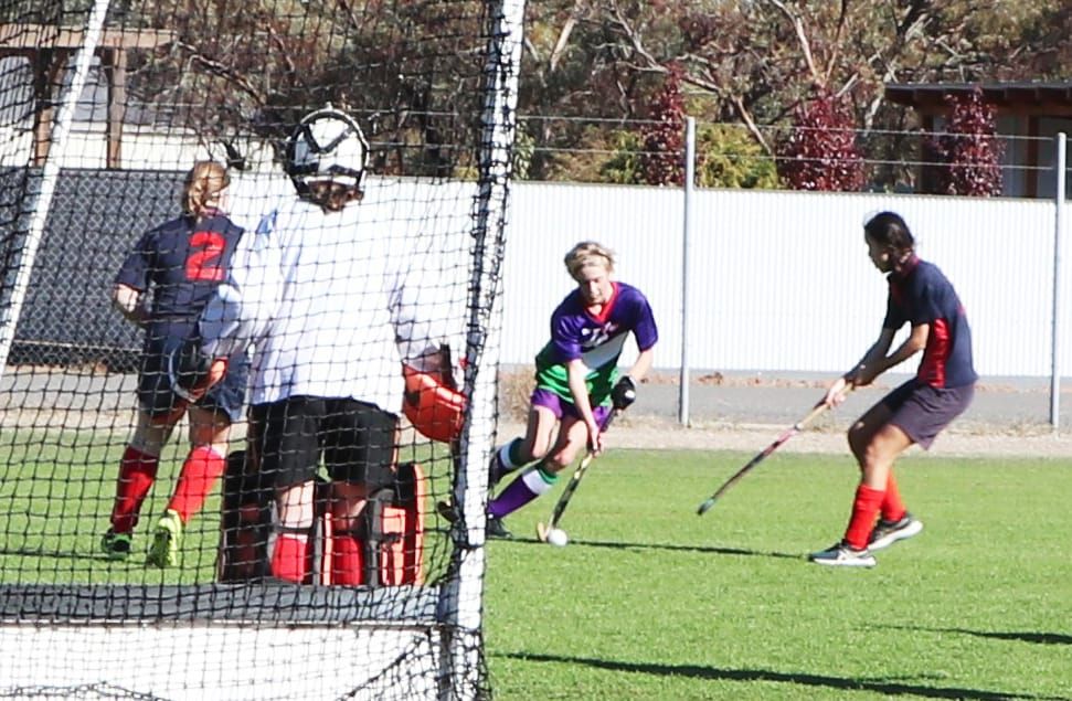 North-Central Hockey post image