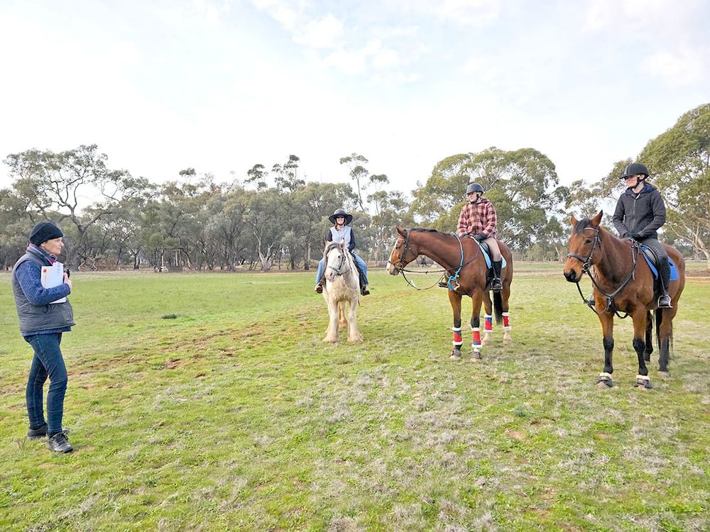 At Charlton, They Came and Tried post image