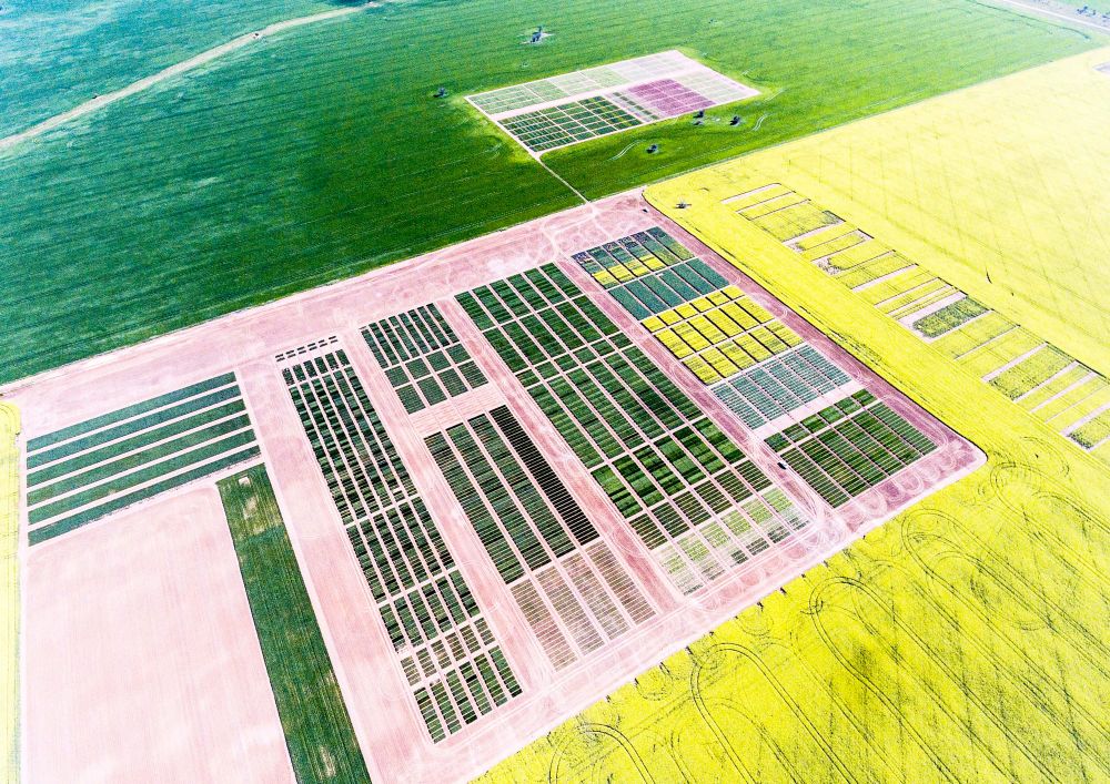 Tuesday, September 3, 2019 post image