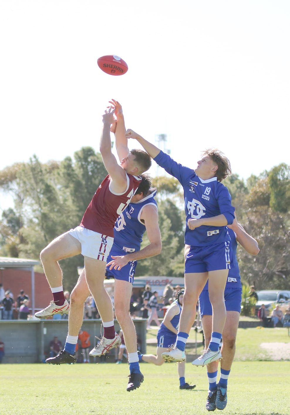 Can Bulls Halt Tigers’ Run? post image