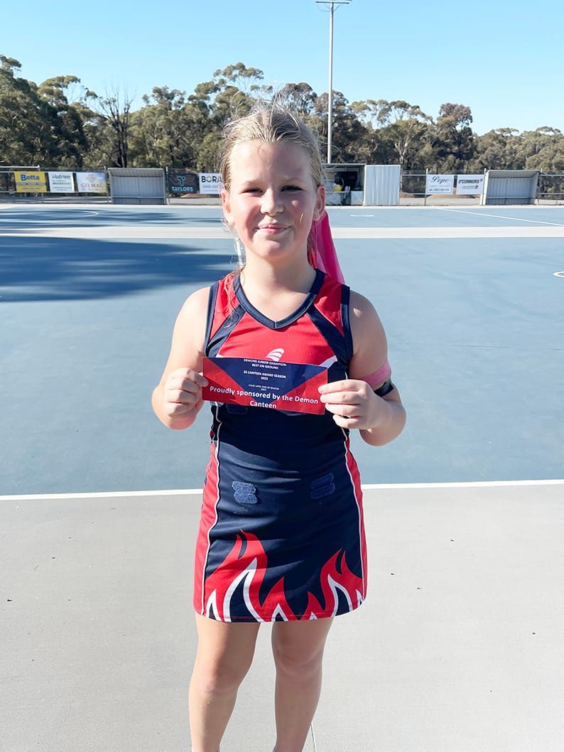 Demon Diary post image