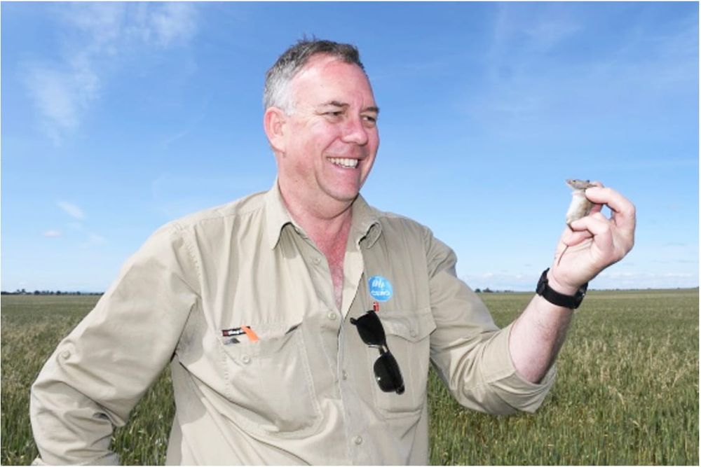 Minimise the Menu for Mice post image