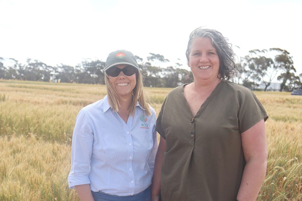 New Faces for BCG Research Committee post image