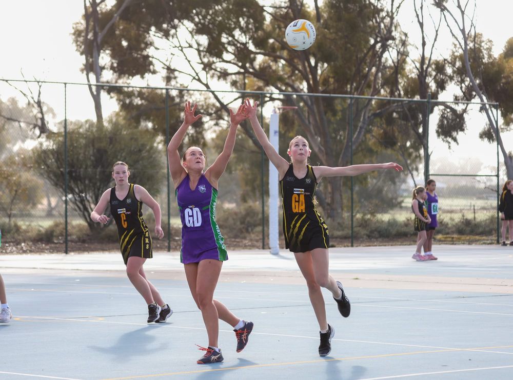 Tigers Host Bulls Netballers post image