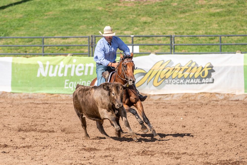 Charlton Primed for Campdrafting post image