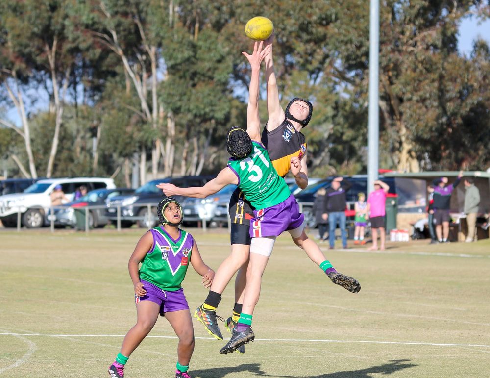 Under-14 Tigers On Top post image