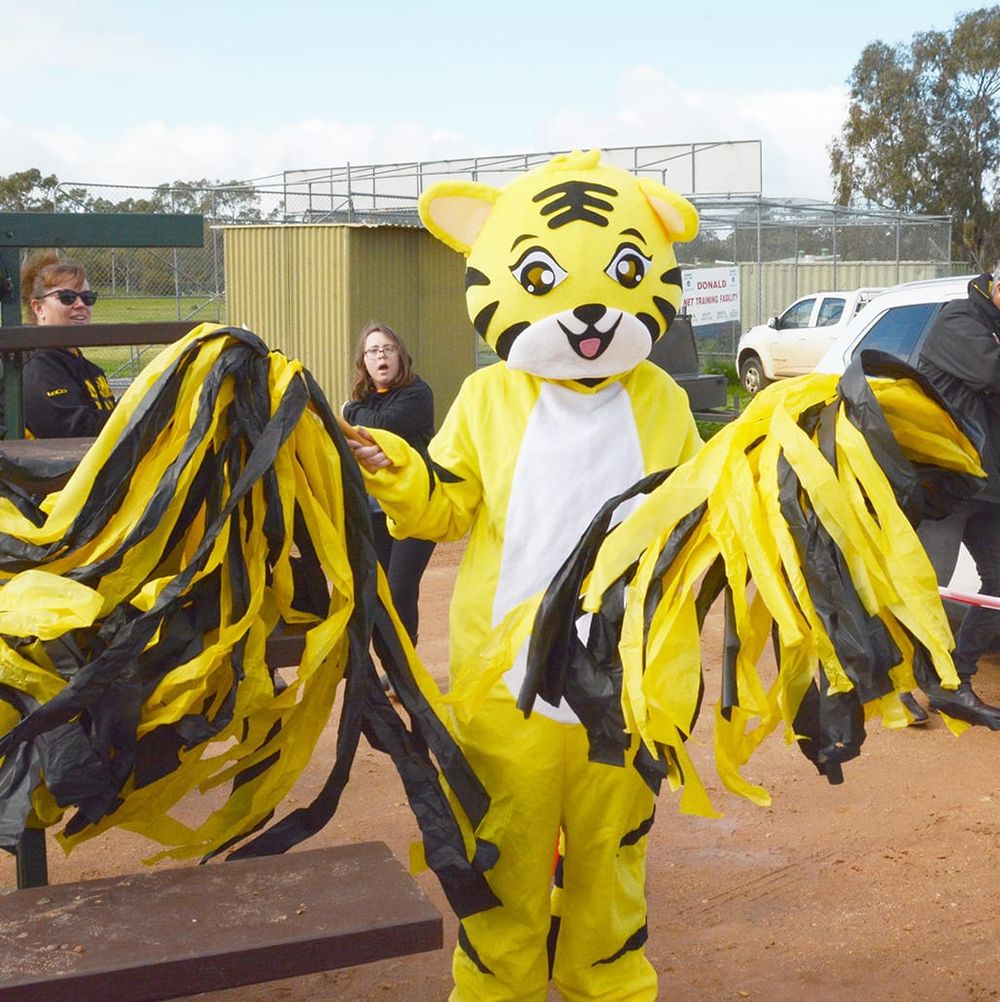 Tigers Out in Force post image