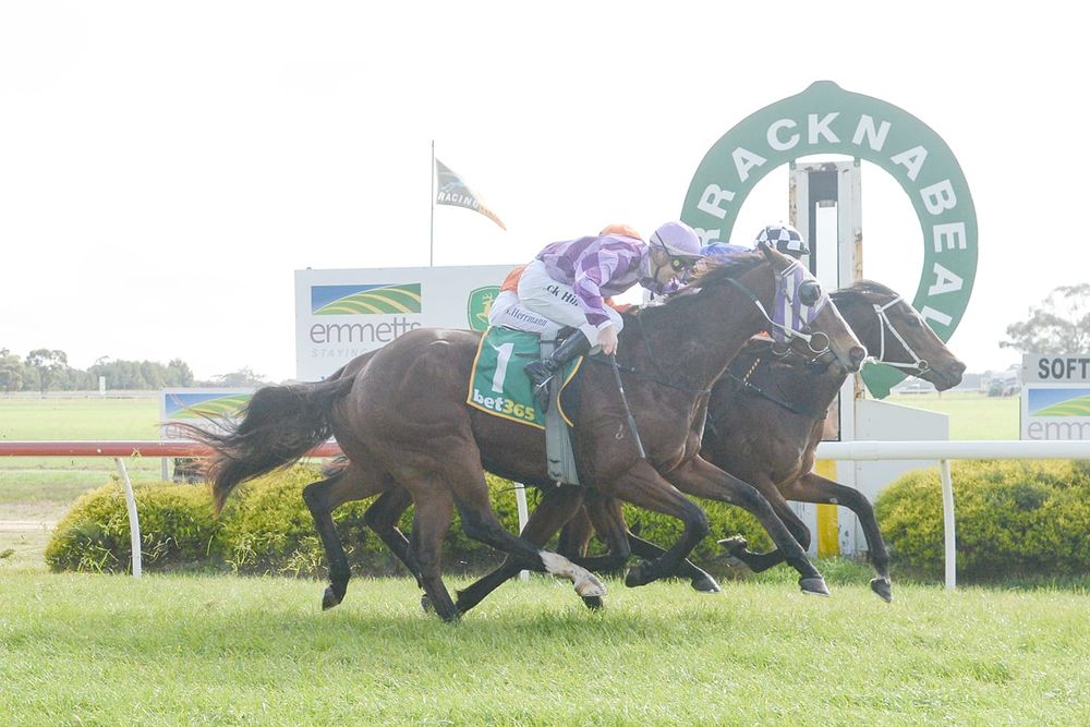Donald Races at Warracknabeal post image