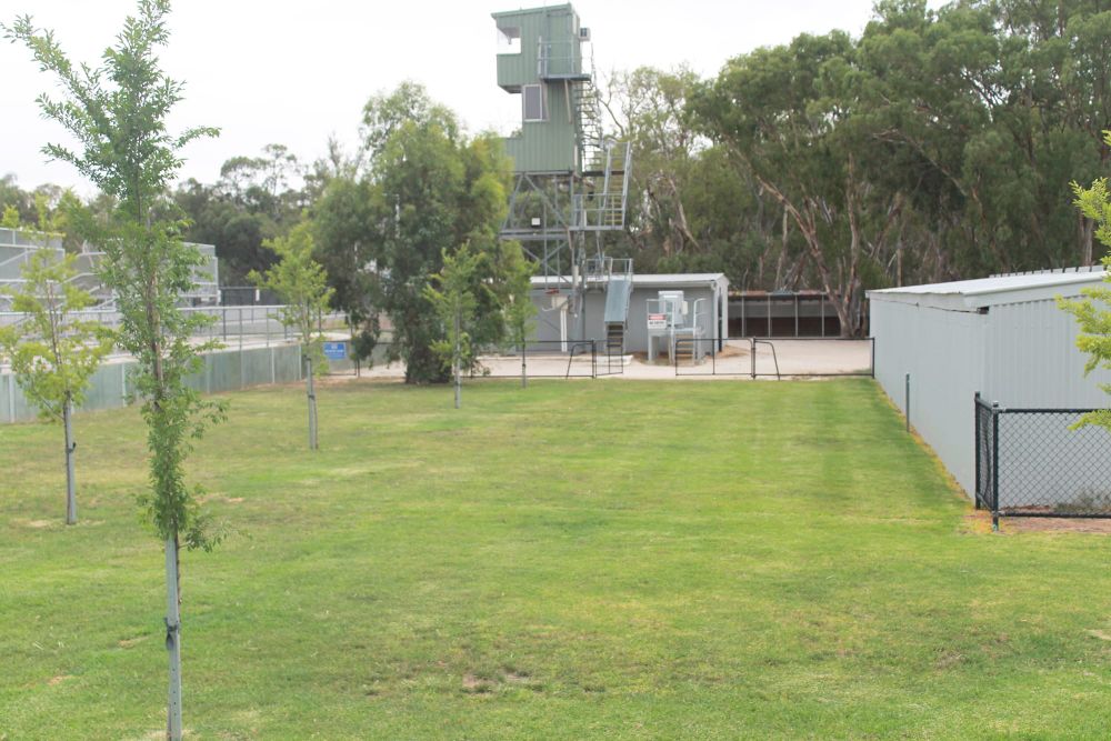 Major Upgrade for Charlton Trots post image