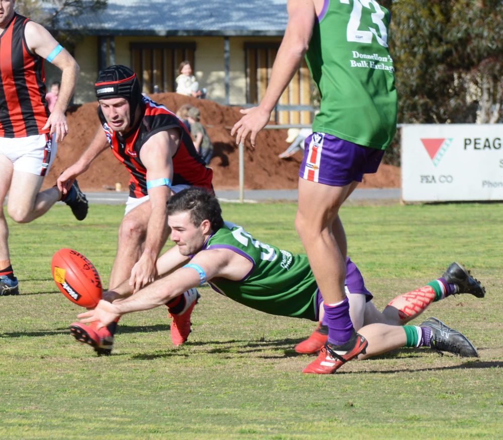 April 2 Start for North-Central post image