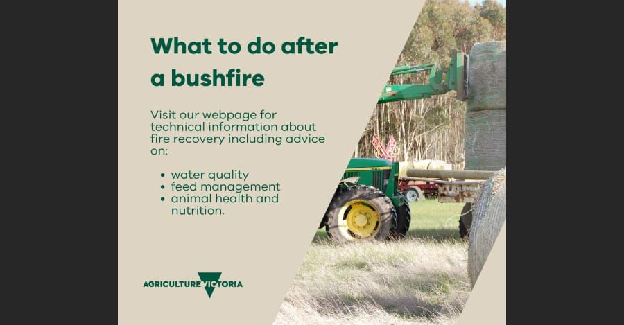 Support and Resources for Fire Affected Farmers post image