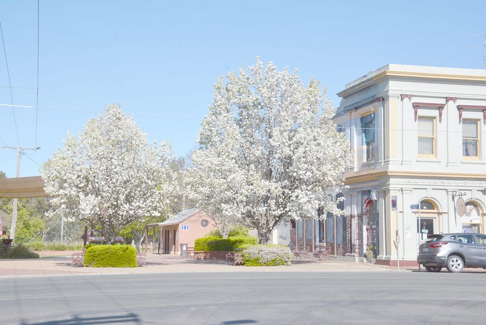 Mid-Town Mall Springs Into Life post image