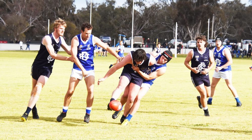 Donald Triumphs in Blues Battle post image