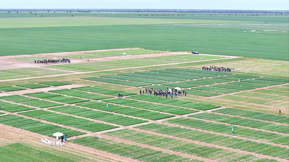 Tuesday, October 21, 2025 post image