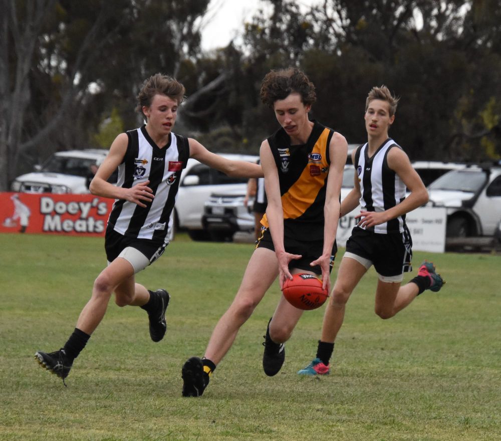 Tigers Straight to Under-17s’ Grand Final post image