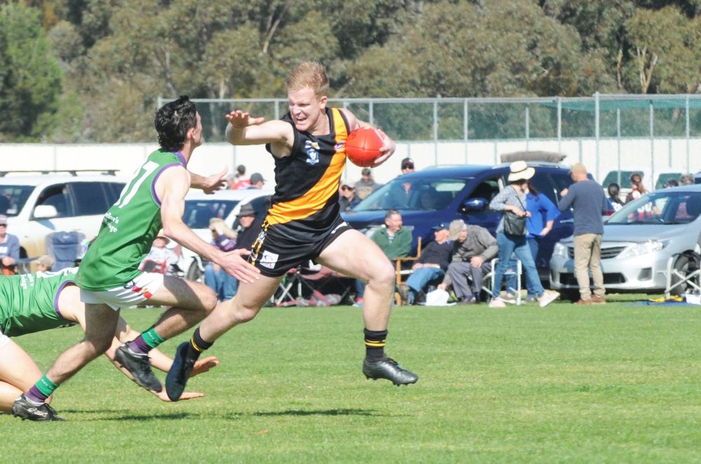 Tigers are Still the Team to Beat post image