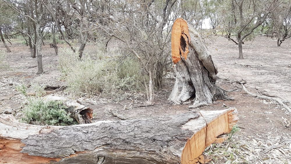 History Hacked post image