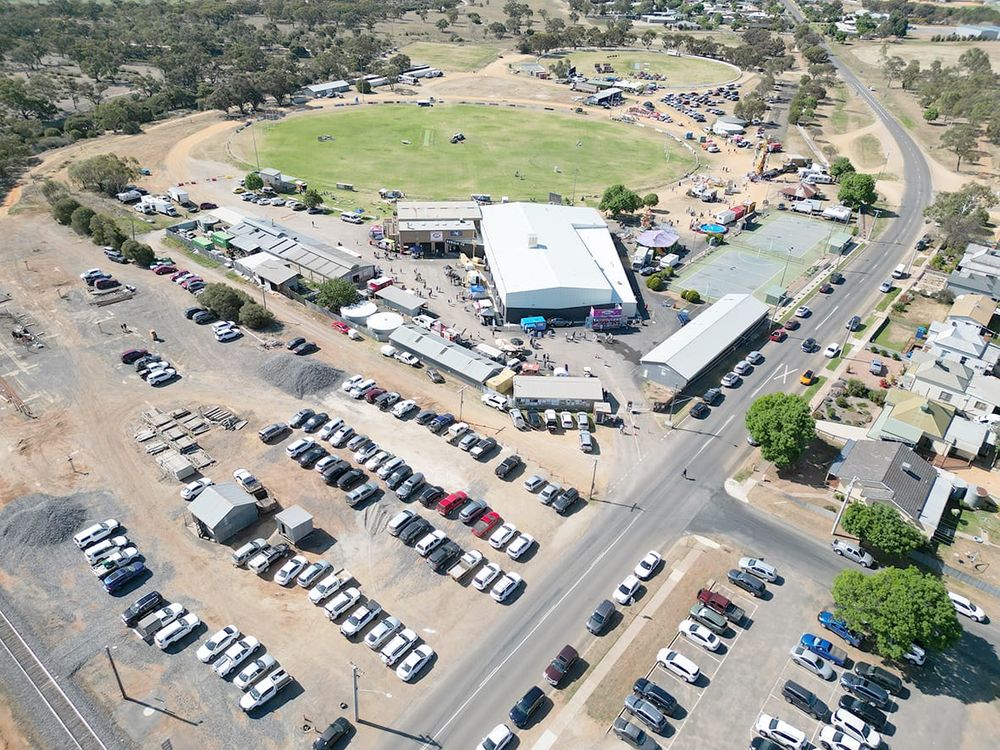 Donald Show 2024 post image