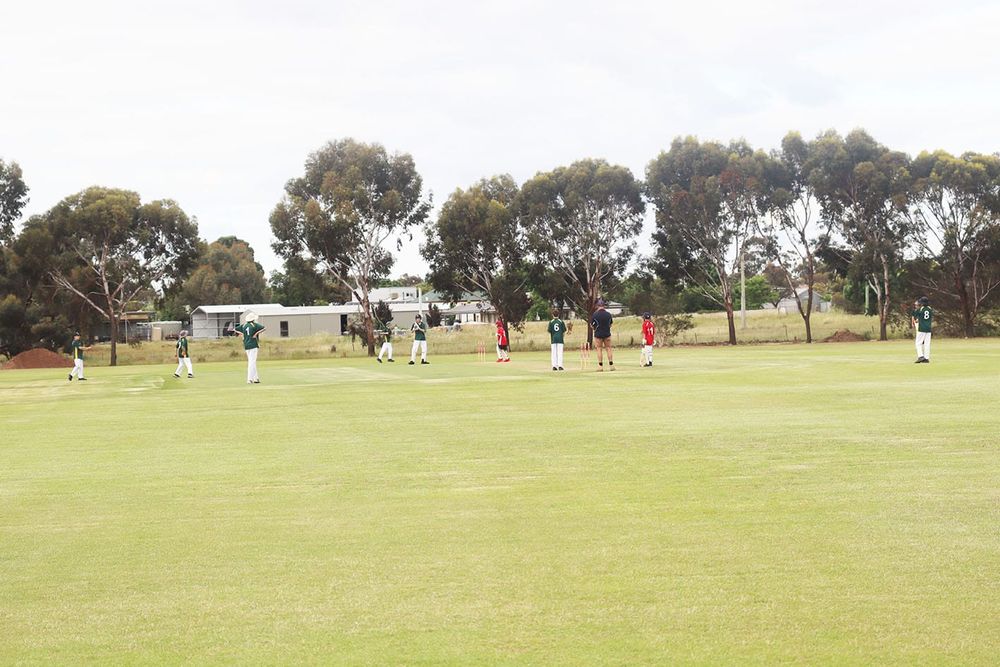 Donald Junior Cricket Competition Hits Off post image