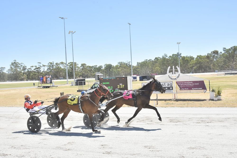 Local Cups Carnival post image
