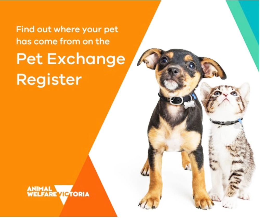 New Technology for Pet Register post image