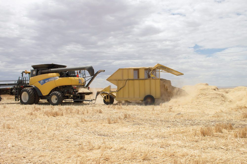 Australian grain growers tackle herbicide resistance post image