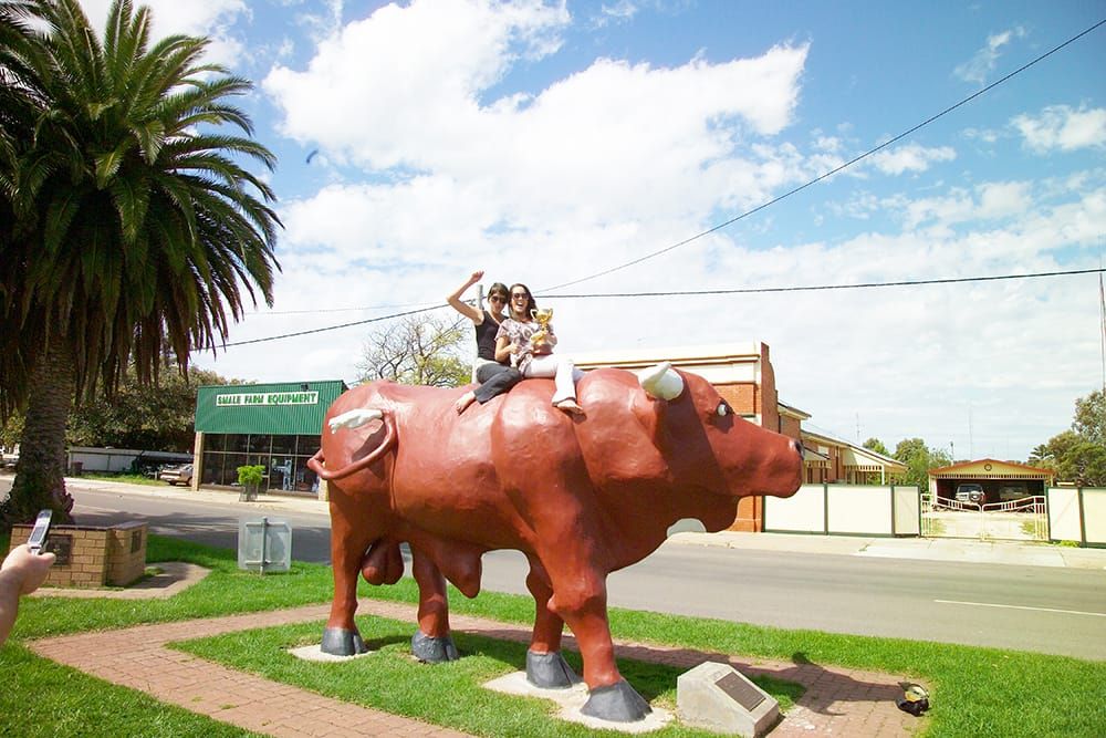 Birchip Shares Cup Barrier Draw post image