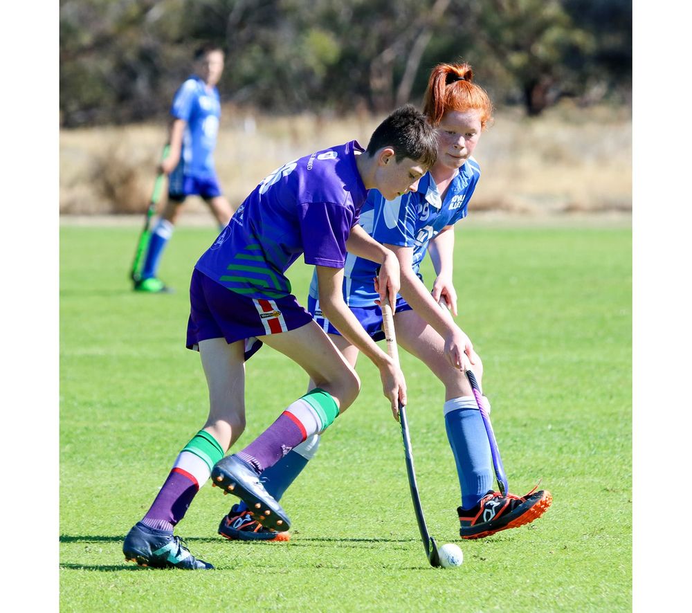 Bulls Host Donald Hockey Teams post image