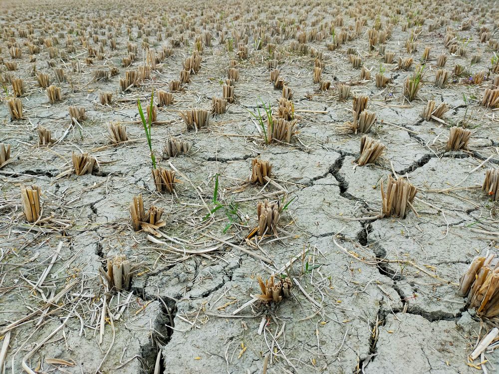 When it Comes to What Farmers Need... New Drought Support Package Falls Short post image