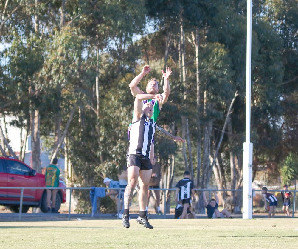 Bulls Surge Over Magpies, with Rippon Masterclass post image