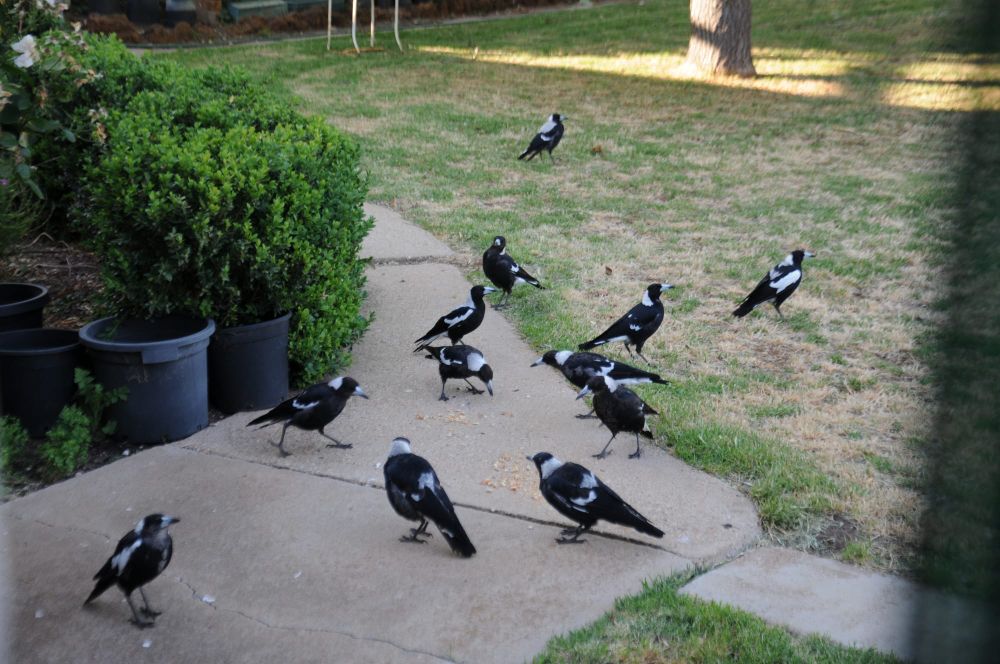 Friday, November 20, 2020 post image