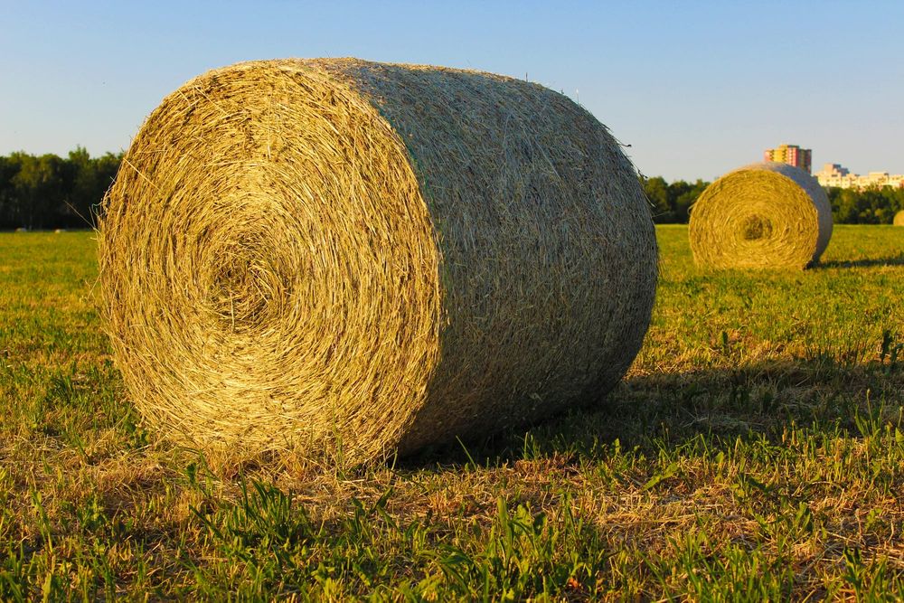 Outside Hay Lost After Rain Event post image