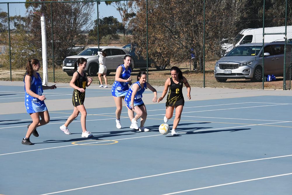 Tigers and Royal Blues Share Netball Honours post image