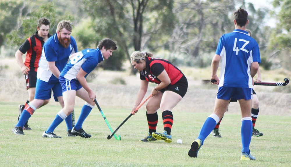 North-Central Hockey post image