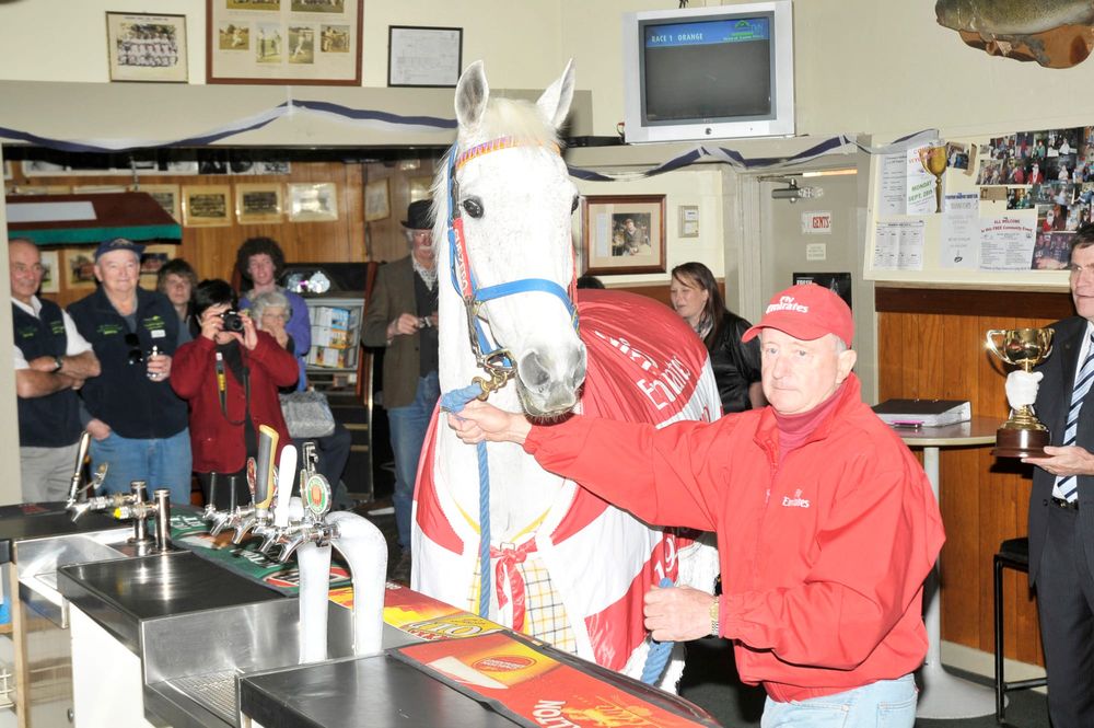 “A Horse Walks Into a Bar . . .” post image