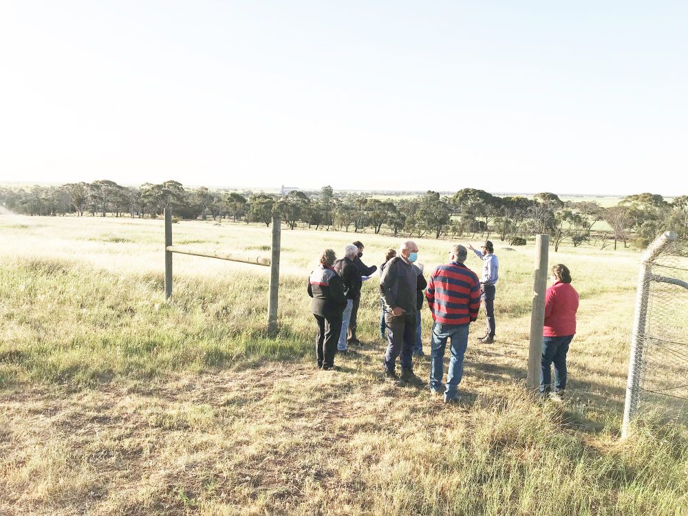 Mount Wycheproof Path Proposal post image