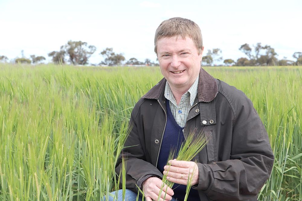 BCG’s Trials Review Day: Proactive Decision Making to Safeguard Crop Health post image