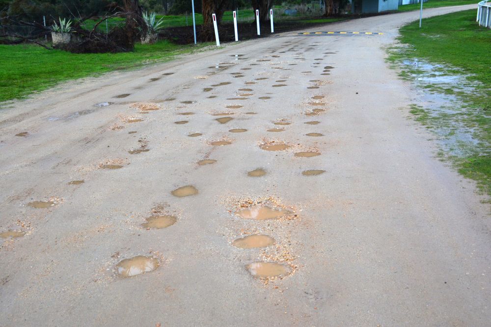 Editorial: “Holey, Holey, Holey” post image