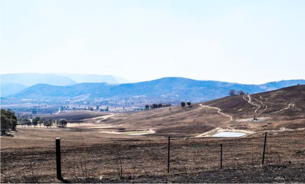 Make the Time to Finalise Your Livestock Fire Plan post image