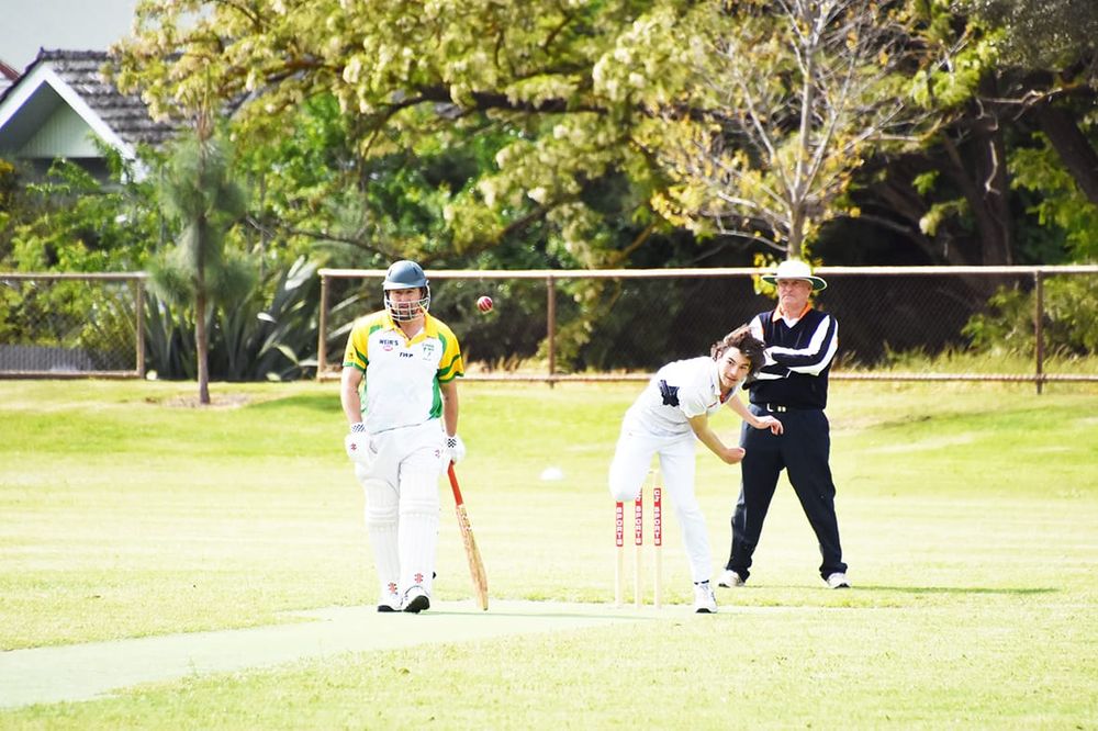 Cricket Curtailed post image