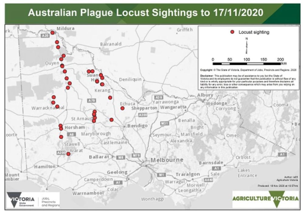 Look for Locusts post image