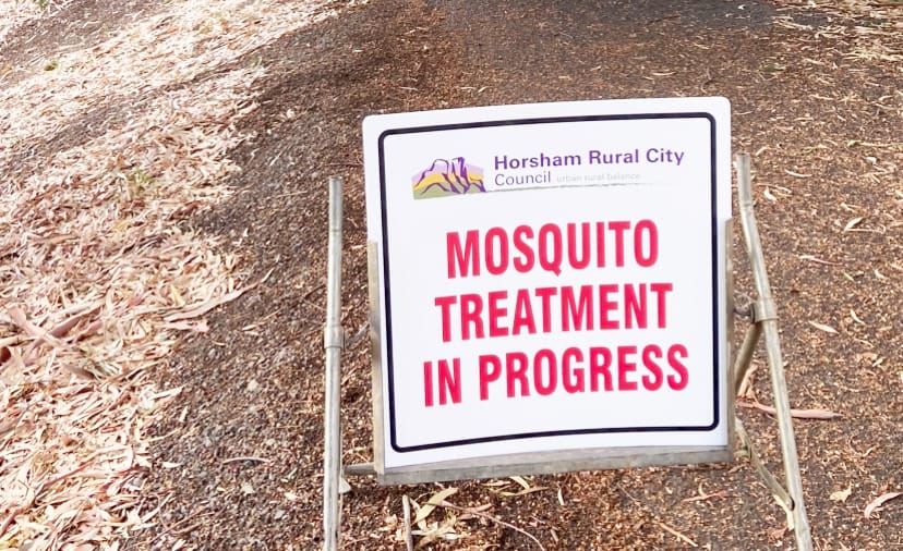 Adult Mosquitoes Targeted After Disease Transmission post image