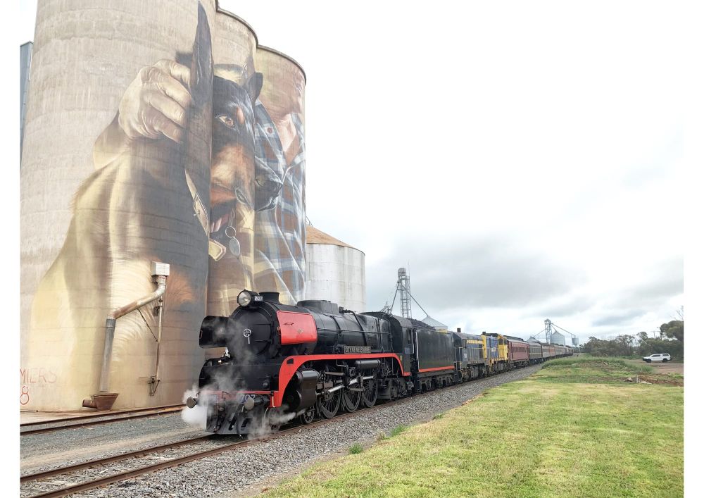 “Race” the Train – Unique Twist on Wyche Fun Run post image